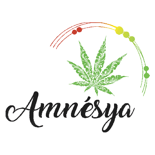 Logo AMNESYA
